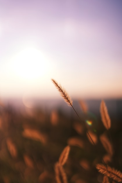 Mindfulness in Nature: A Guide